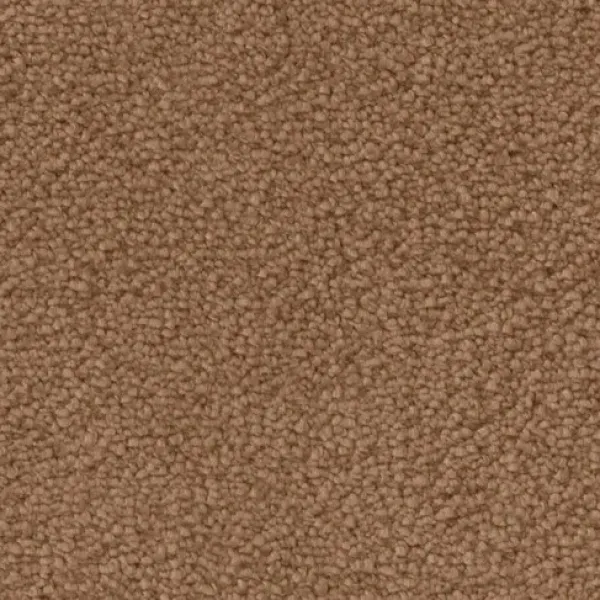 Draufsicht auf Vorwerk Mira 1P96